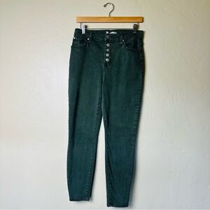 Altar'd State Green Sand Dollar Stretch Jeans Button Front Edition Size 29/9